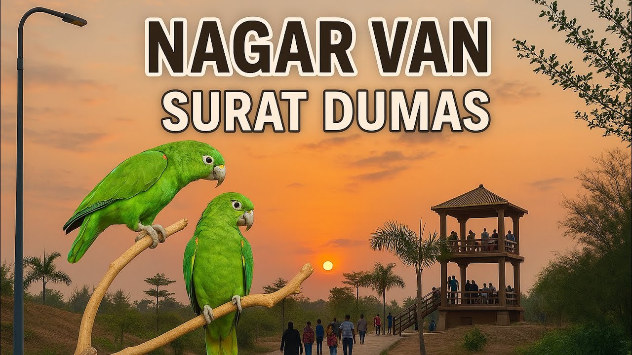 Nagar Van Surat | Nature Park in Surat | Nagarvan Garden Surat Dumas | Nature Bird Park | Surat Vlog
