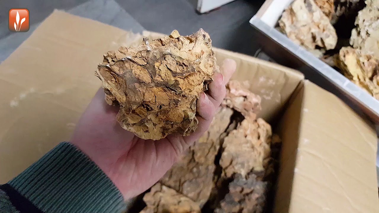 Unboxing 25kg Dragon Stones