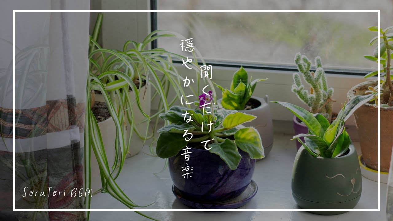 【BGM】癒しのピアノBGM｜聞くだけで優しい気持ちになれる朝の音楽【途中広告なし】