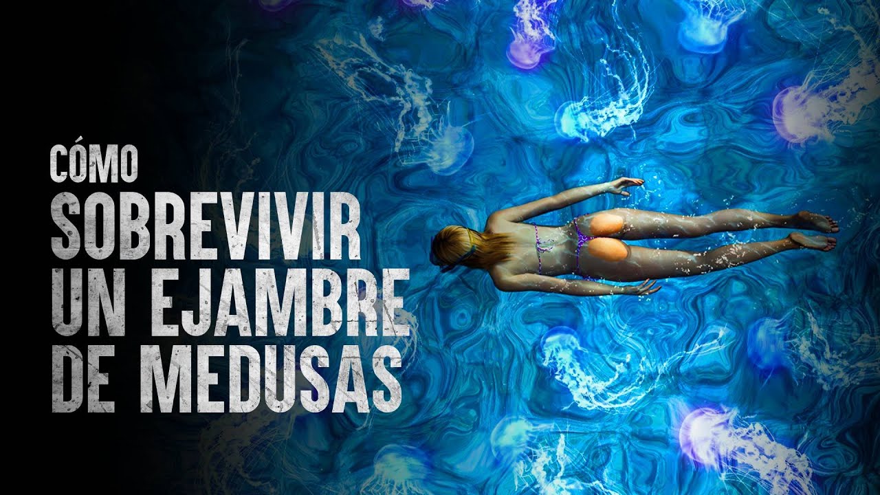 Cómo Sobrevivir un enjambre de medusas