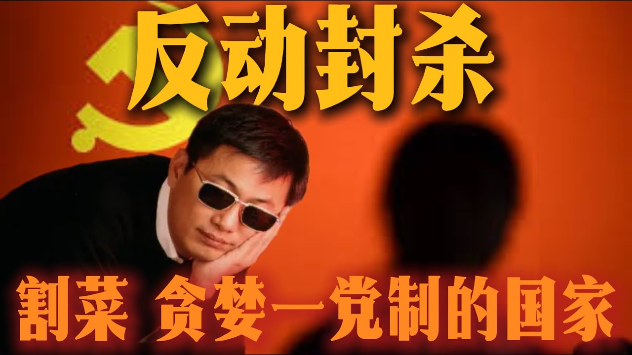 王家卫录音精华版|一个视频看懂|王家卫|古二|唐嫣|金靖|秦雯|上海|繁花|割韭菜|共产党