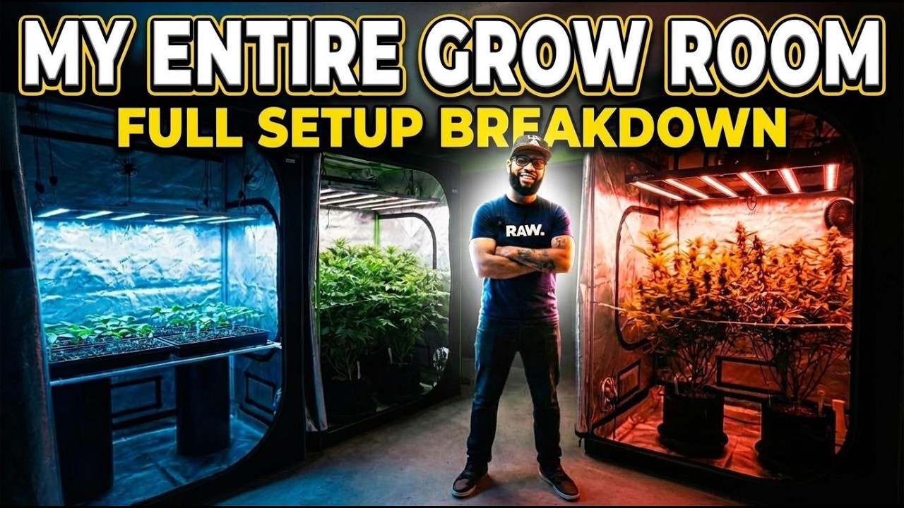 Full Grow Room Tour: How I Run a Perpetual Harvest
