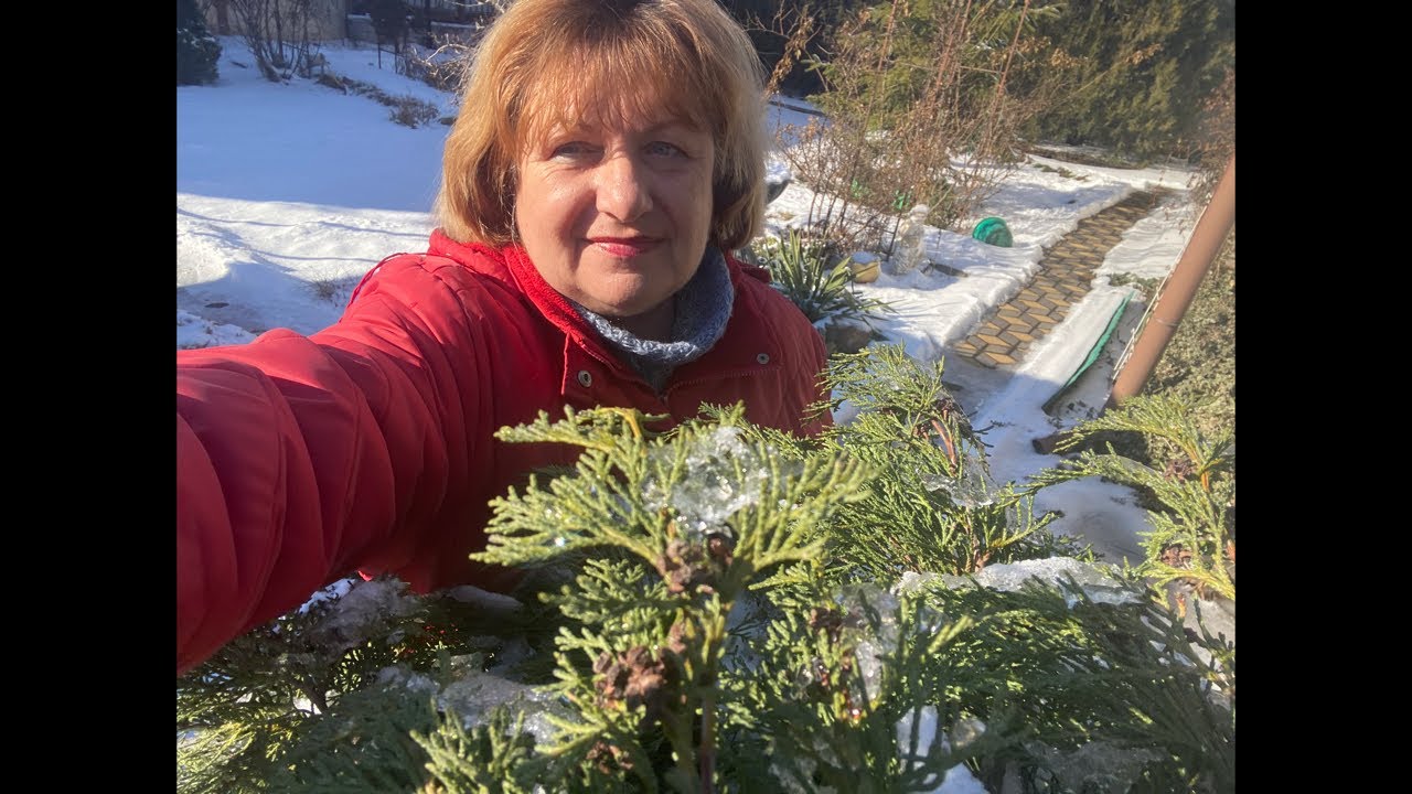 Украина А схожу ка я за хлебушком
