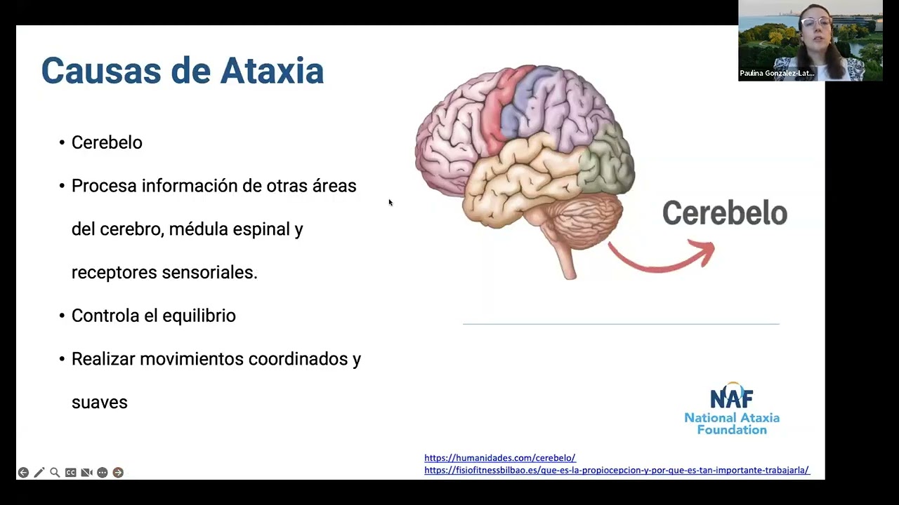 Todo Sobre la Ataxia (All About Ataxia in Spanish)