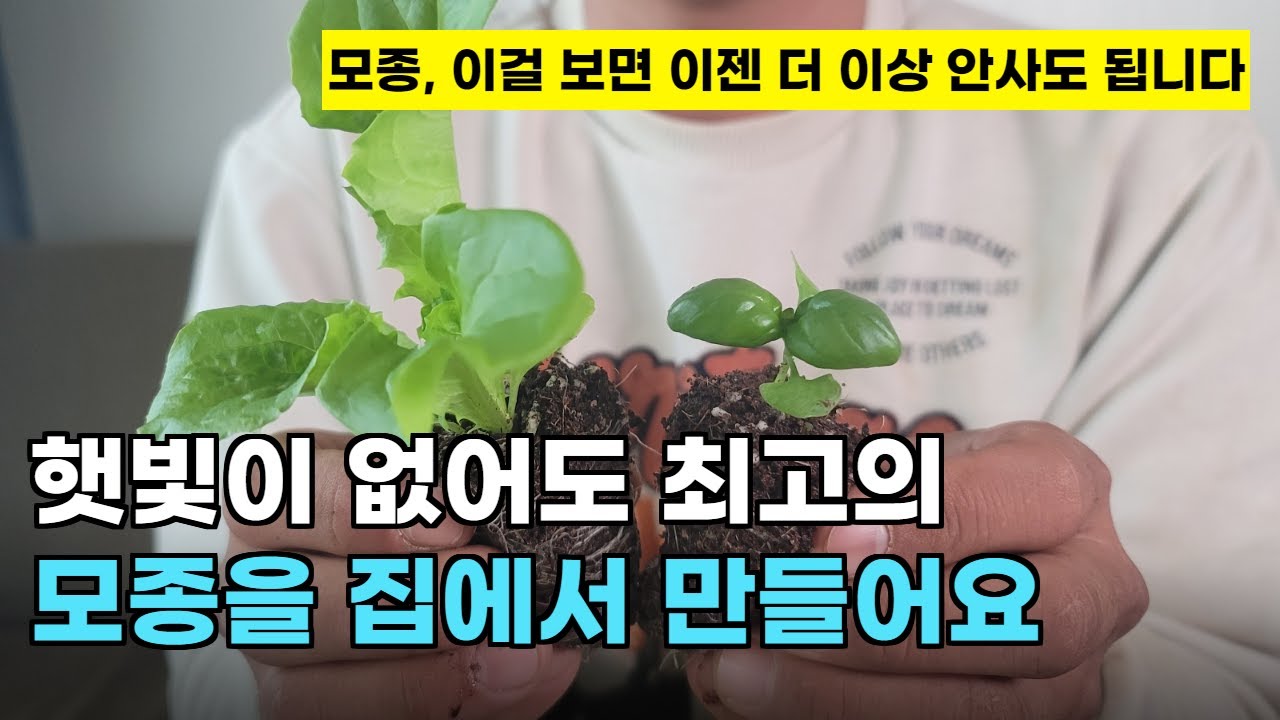 131.햇빛이 부족한 가정에서도 완벽한 모종을 쉽게 만들 수 있는 간단한 방법입니다