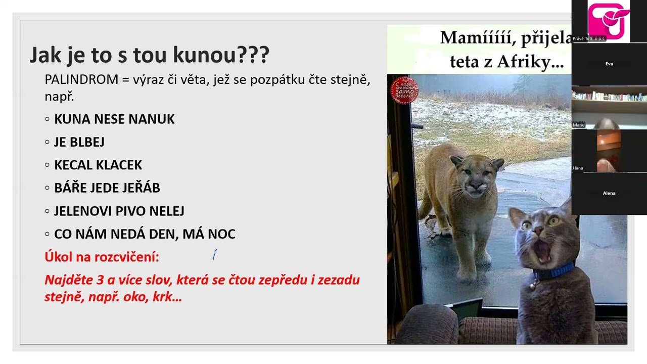 Kreativní trénování paměti s Evou Schneiderovou 1/4