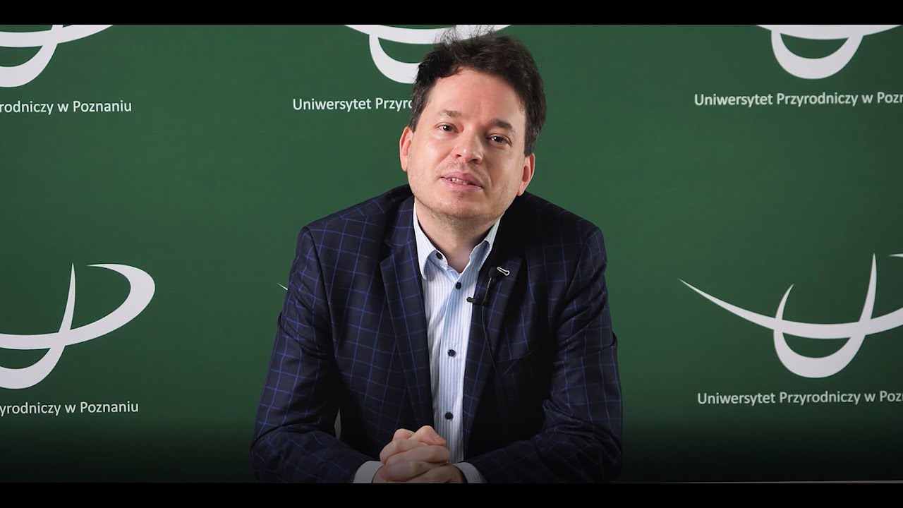 Krzysztof Różański, Możliwości zawodowe po studiach na Wydziale Ekonomicznym UP w Poznaniu