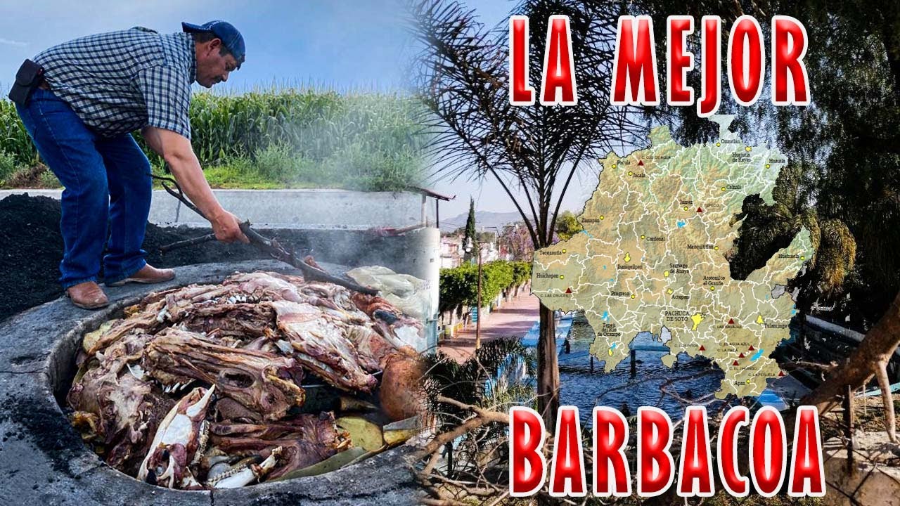 BARBACOA HIDALGUENSE I ASÌ SE HACE LA MERJOR BARBACOA DE  MÈXICO 🇲🇽🐑