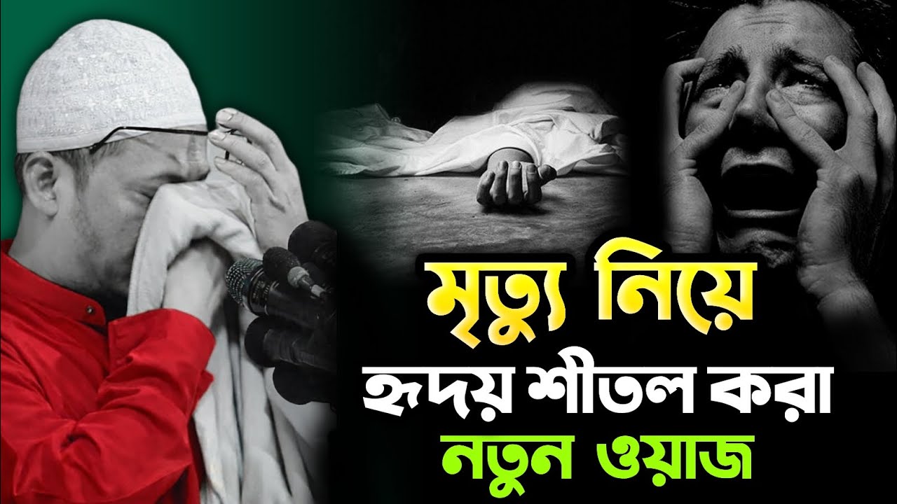 হাসলেও মরতে হবে কাঁদলেও মরতে হবে 😭💔 | আনিসুর রহমান আশরাফী 