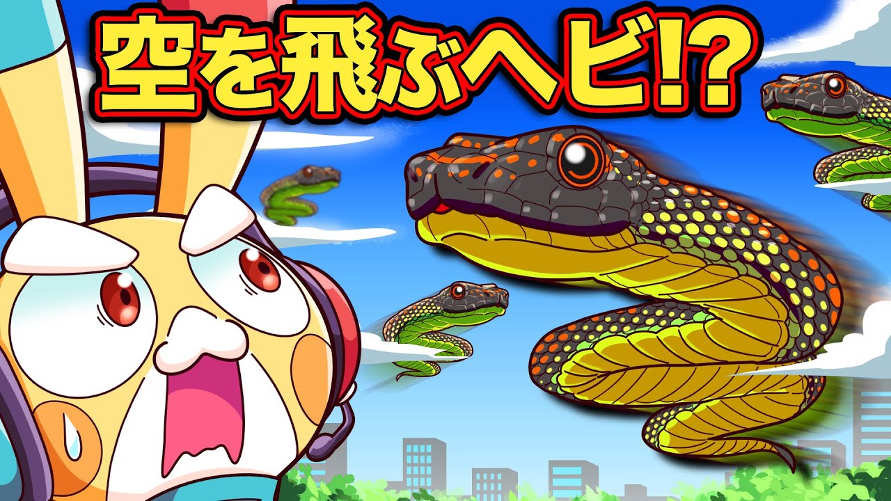 空を飛べちゃう！？意外な生き物【アニメ】【マンガ】