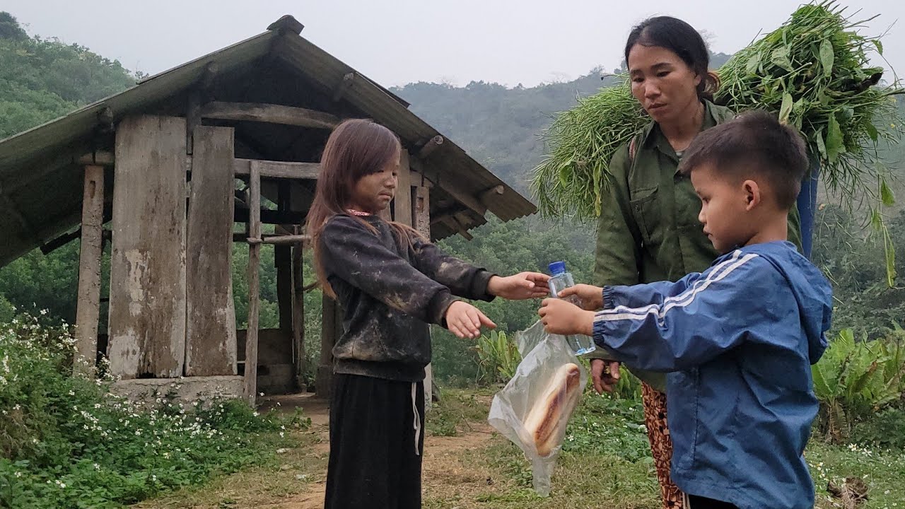Hello Mom, I'm Duong Mi. I went to harvest cabbage seeds, and on the way back I met a girl.