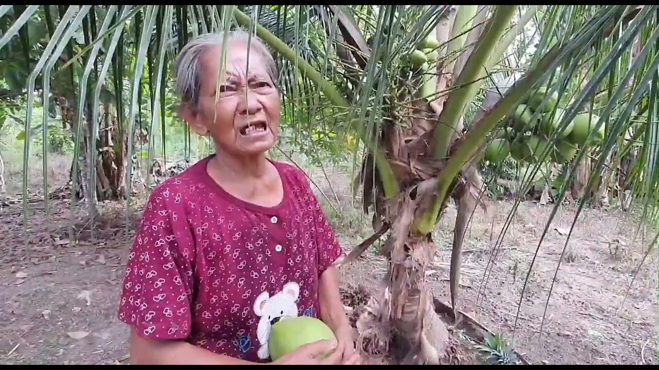 Antisipasi banjir kekebun menginap di pondok rompok