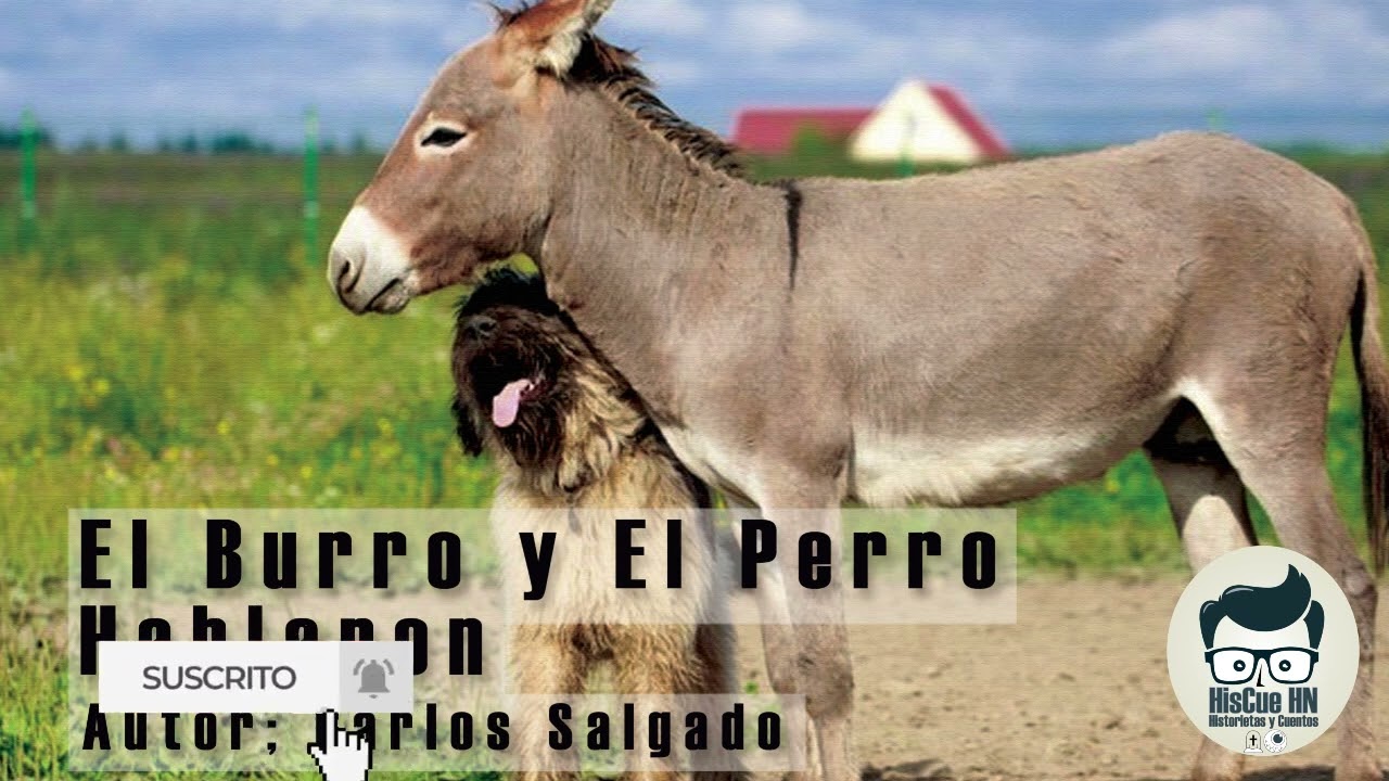 El Burro y El Perro Hablaron