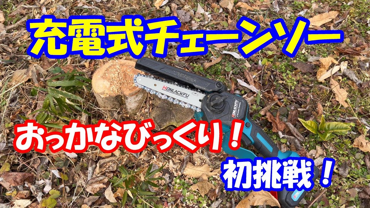 チェーンソー充電式に初挑戦！通販のチェーンソー最高！