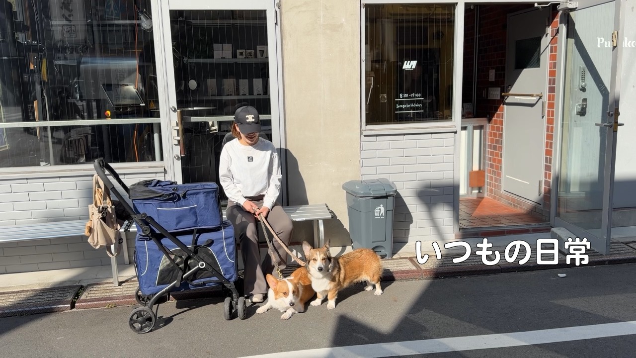 013.行きつけの外コーヒーで過ごす朝｜コーギーの日常