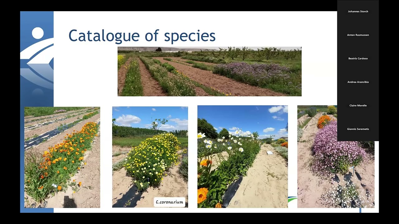 Joint Webinar | Holistic, agroecological approaches to explore technical collaboration