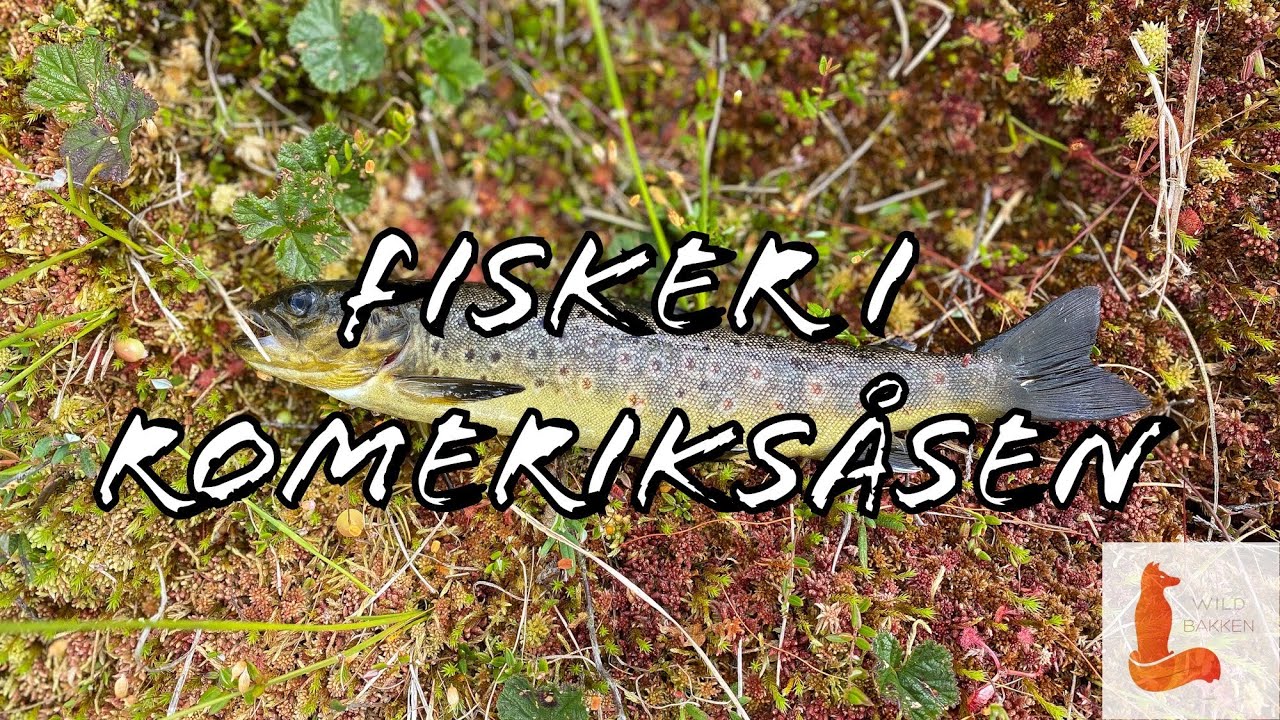 Fisker i Romeriksåsen ( 2020 )