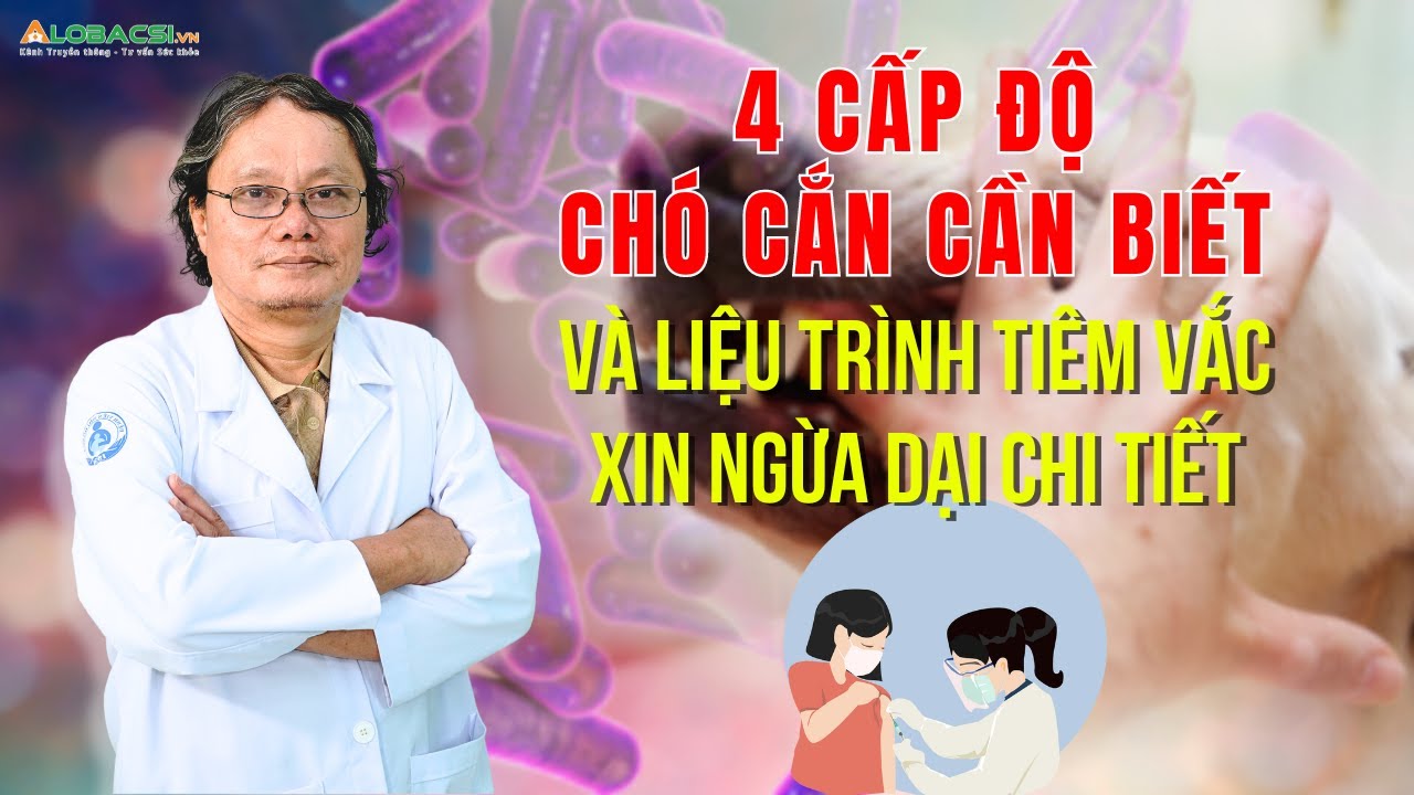 4 cấp độ chó c.ắn cần biết và liệu trình tiêm vắc xin ngừa dại chi tiết | BS Trương Hữu Khanh