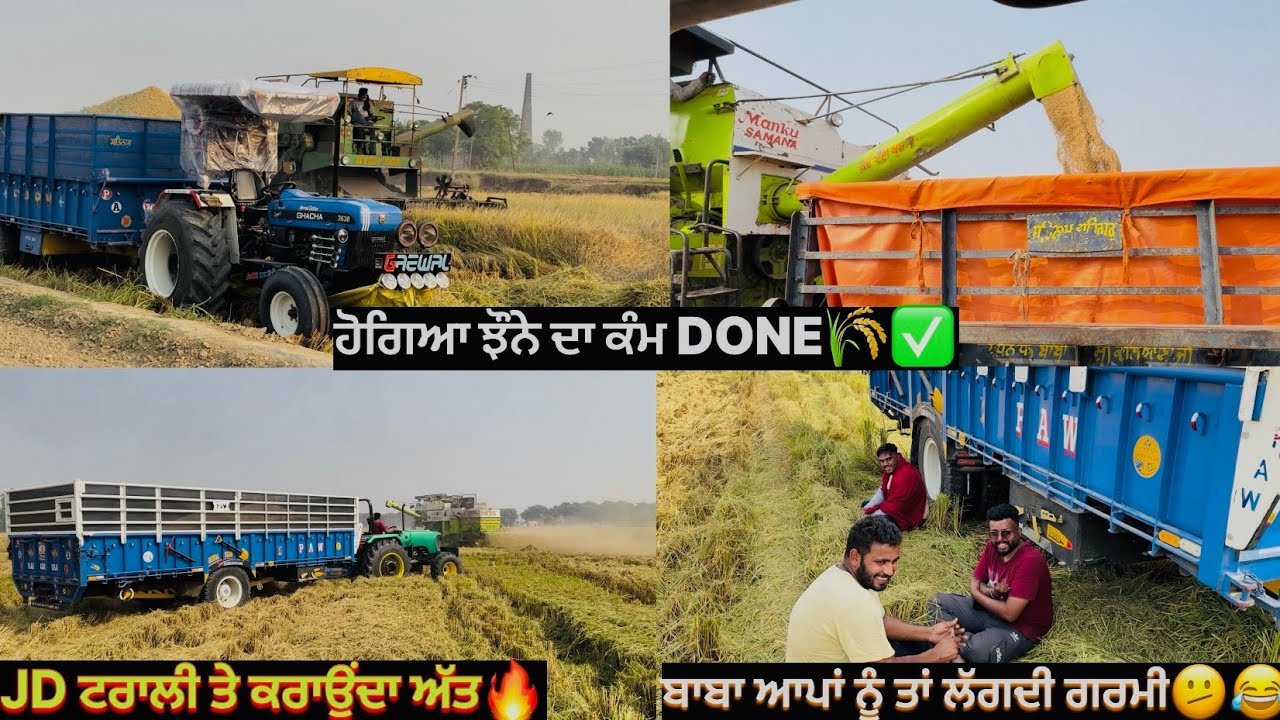 Last ਵਿੱਚ ਝੌਨੇ🌾ਨੇ ਕੀਤੇ ਨੀਰਾਸ਼🫤/ਝੌਨੇ ਦਾ ਝਾੜ ਠੀਕ-ਠਾਕ ਜਿਹਾ ਰਿਹਾ✅