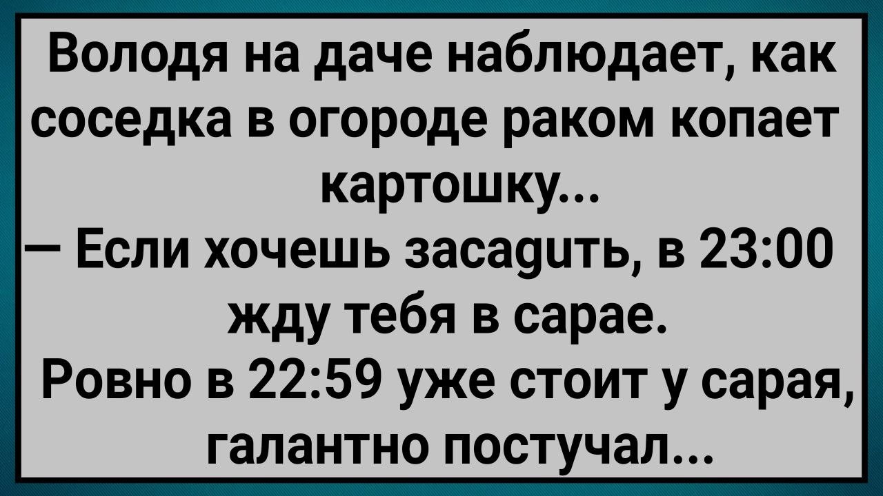 Как Володя в Сарае Соседке Зacaguл! Сборник Свежих Анекдотов! Юмор!