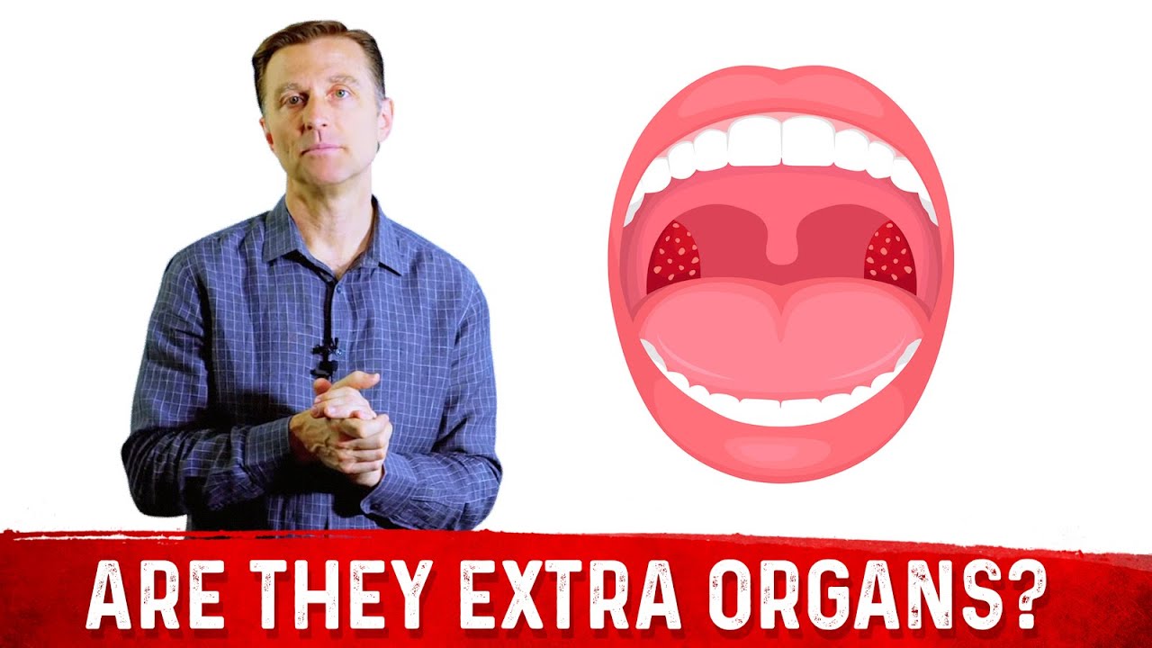 What is Tonsils & Do You Need Them? &ndash; Dr.Berg