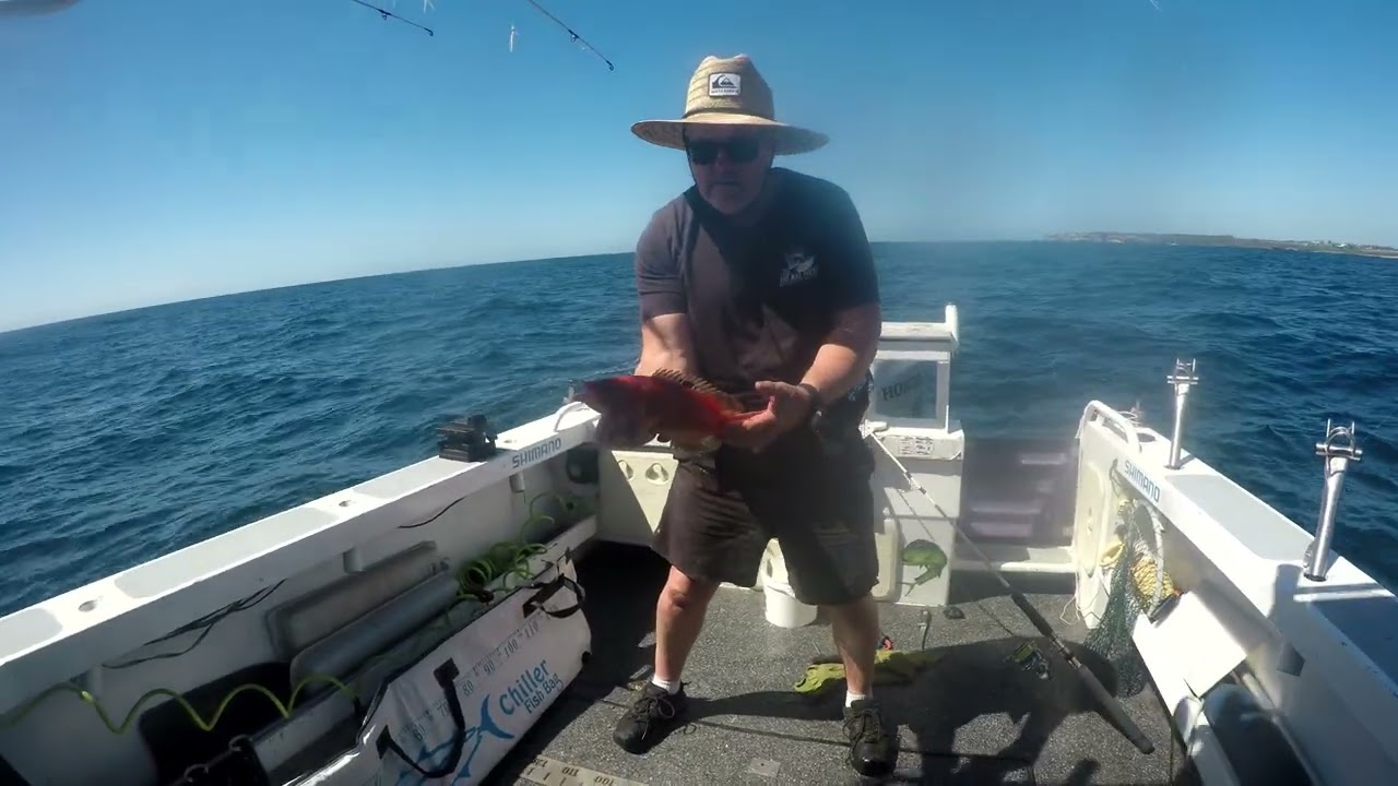 Hooked a huge fish ! Sydney Reef Fishing Trip
