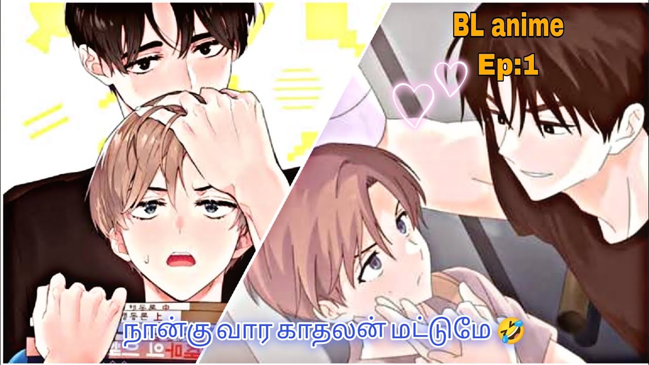 நான்கு வார காதலன் மட்டுமே 🤣/ part 1 / BL anime Tamil explained / boy to boy Love