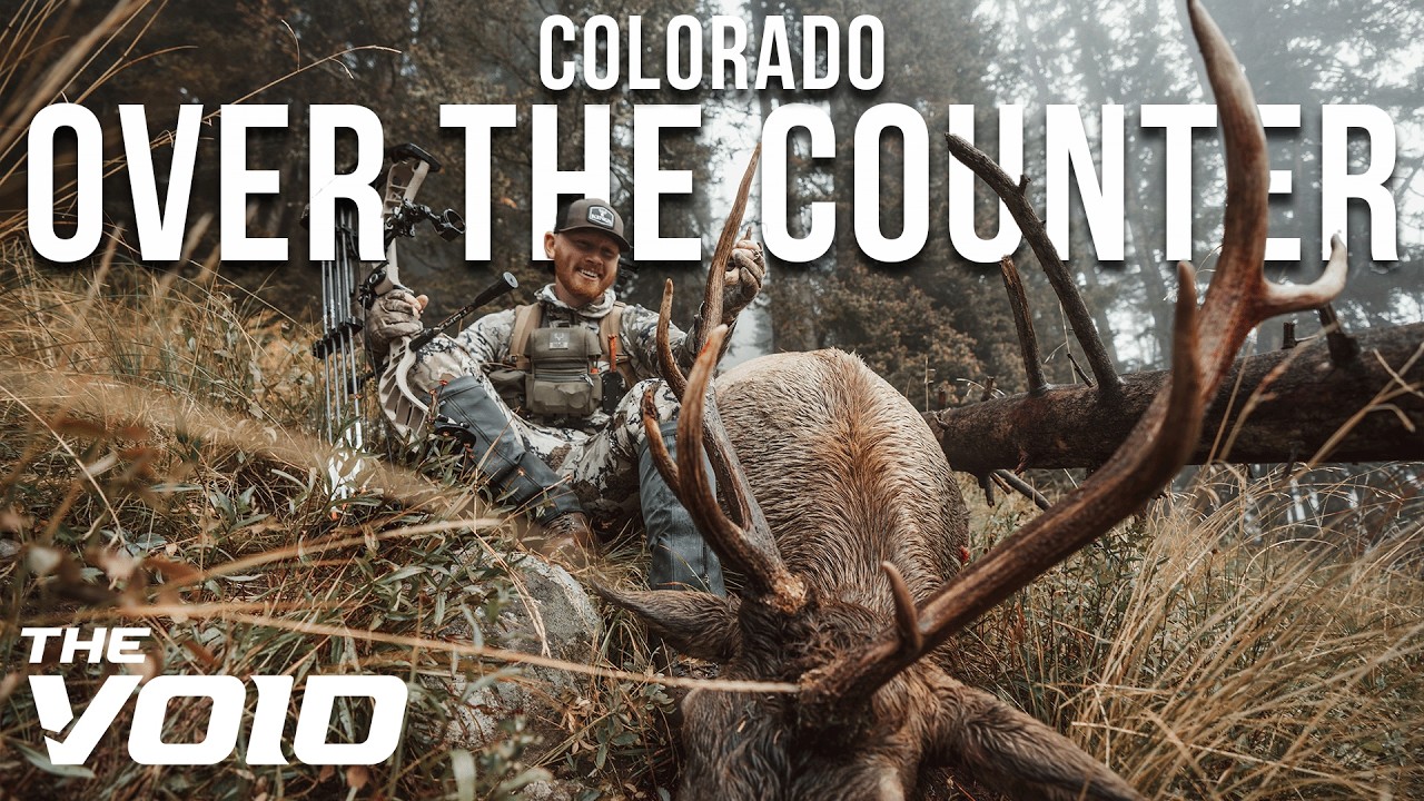 DIY Colorado OTC Archery Elk Hunt | Seizing the Opportunity at a Public Land Bull!