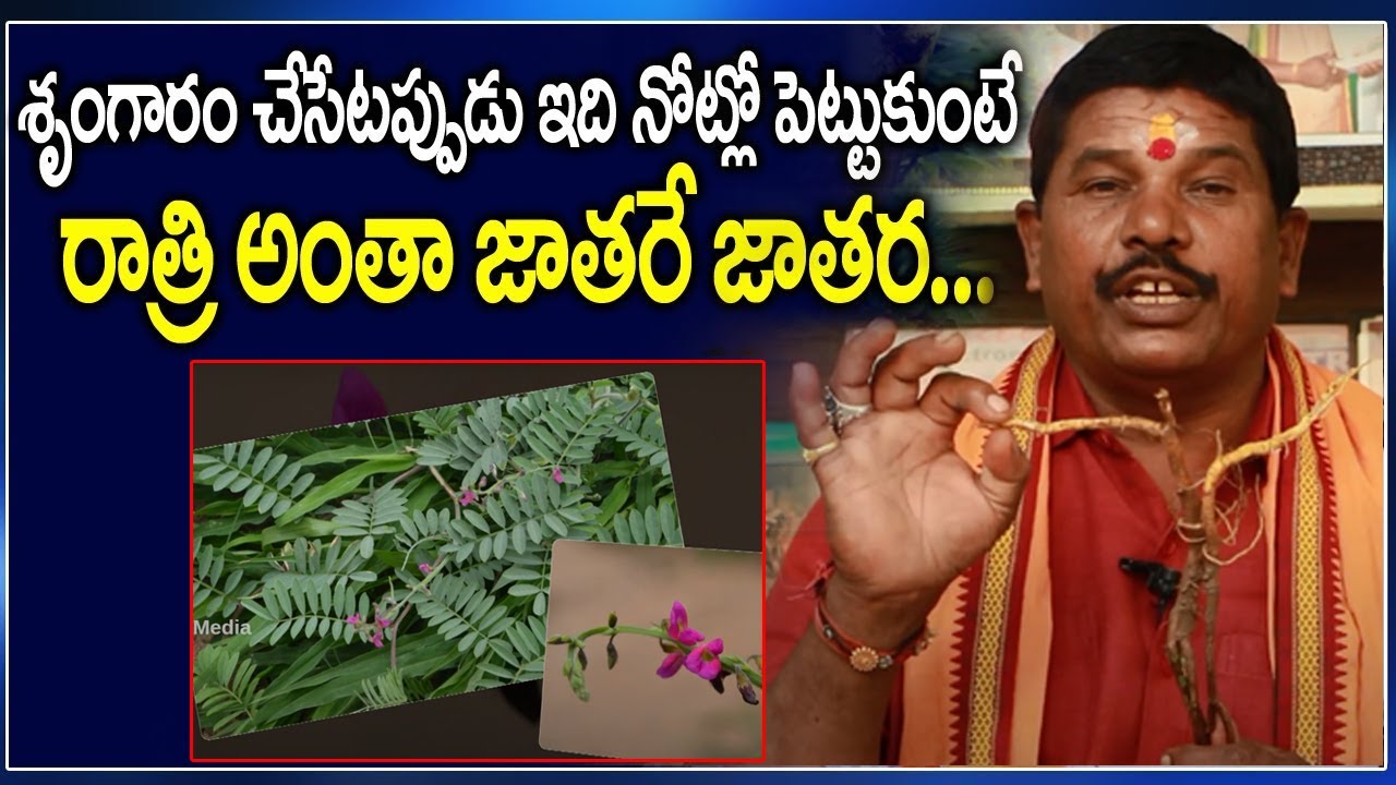 ఈ వేరు మొక్క నోట్లో పెట్టుకుంటే.!! Best ayurvedam remedies in telugu |health remedies | vahini media