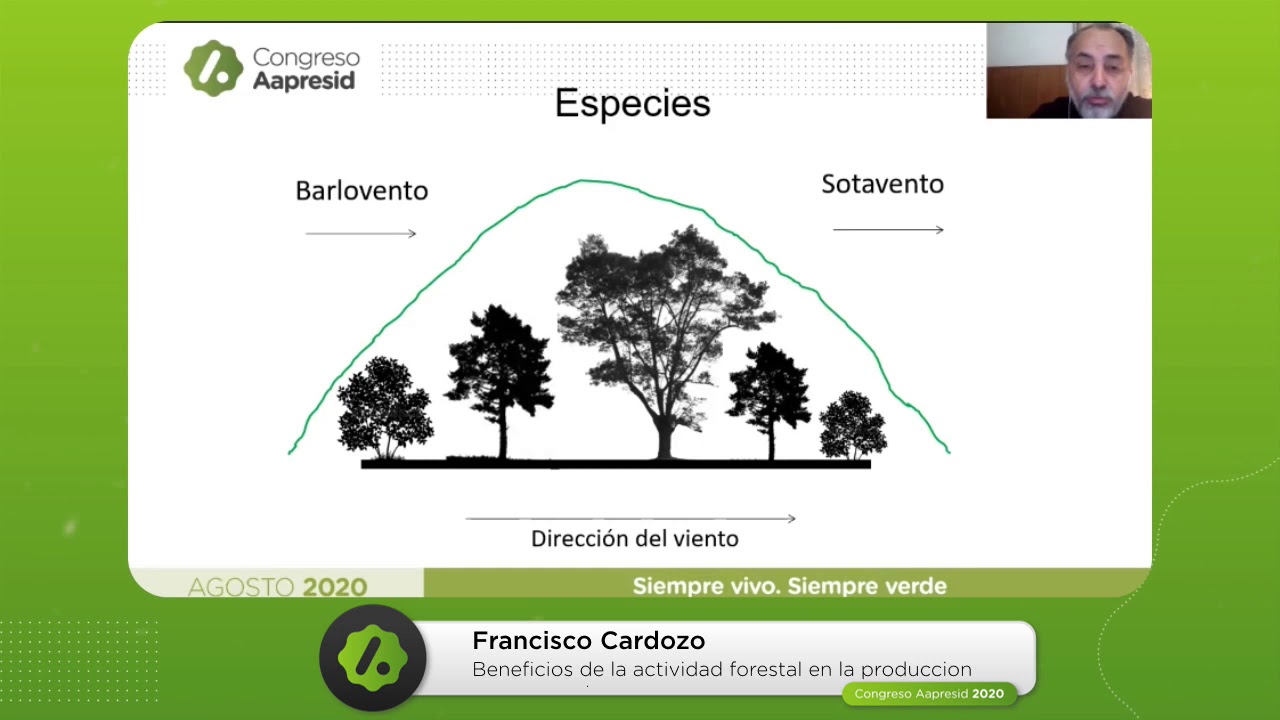 Beneficios de la actividad forestal en la producci&oacute;n agropecuaria