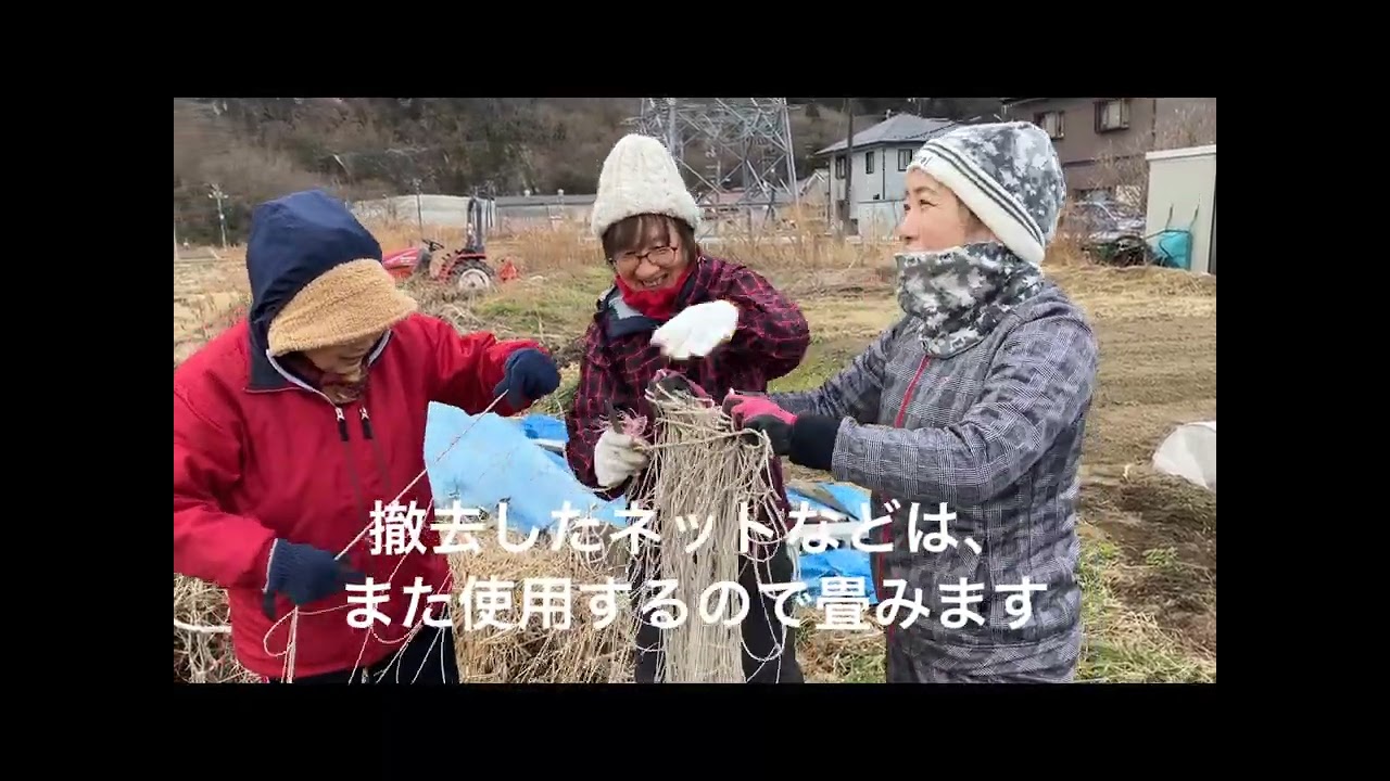 2月の定例活動