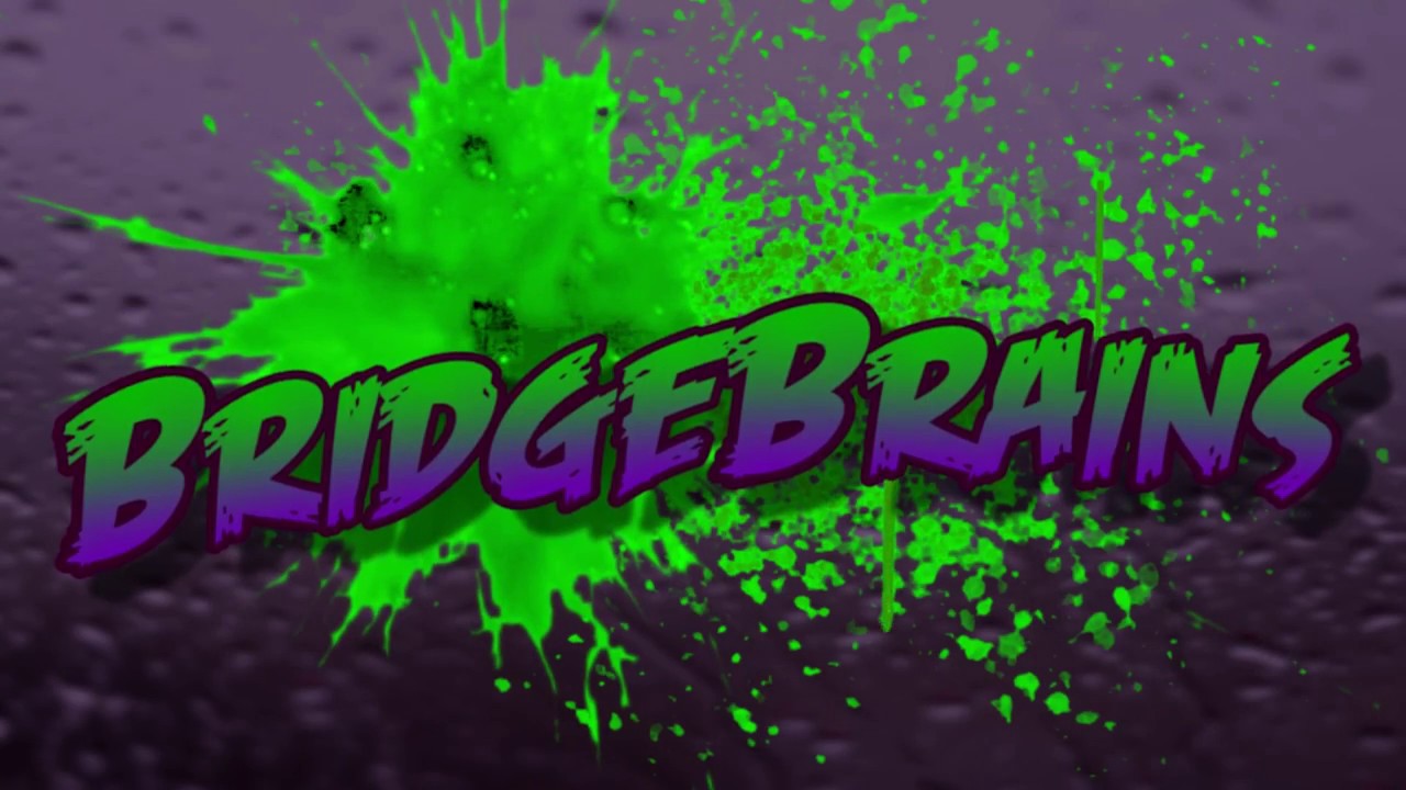 Welcome to BridgeBrains!