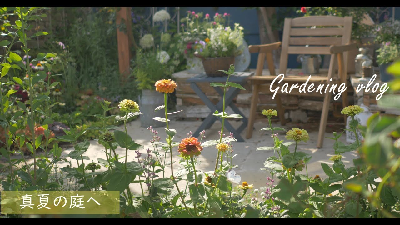 Gardening Vlog| Изготовление летних клумб ｜ Летний сад ｜ Изготовление печенья из лаванды и черники