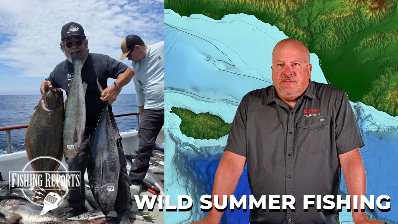 Southern California Bight FISHING REPORT 08/14/2026