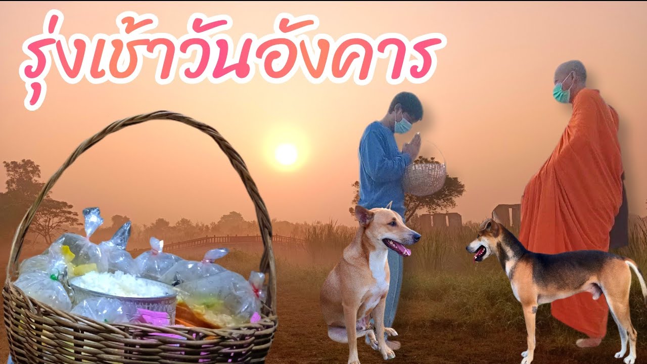 🔴🐼LIVE รุ่่งช้าวันอังคาร อิ่มบุญอิ่มใจในแบบเรา 20 ม.ค #วัดมเหยงคณ์ #อยุธยา #Nopนพพลสตอรี่