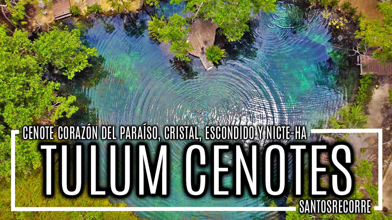 😍 TULUM CENOTES - Visité 4 INCREÍBLES Cenotes: Corazón del paraíso, Cristal, Escondido y Nicte-ha 😱