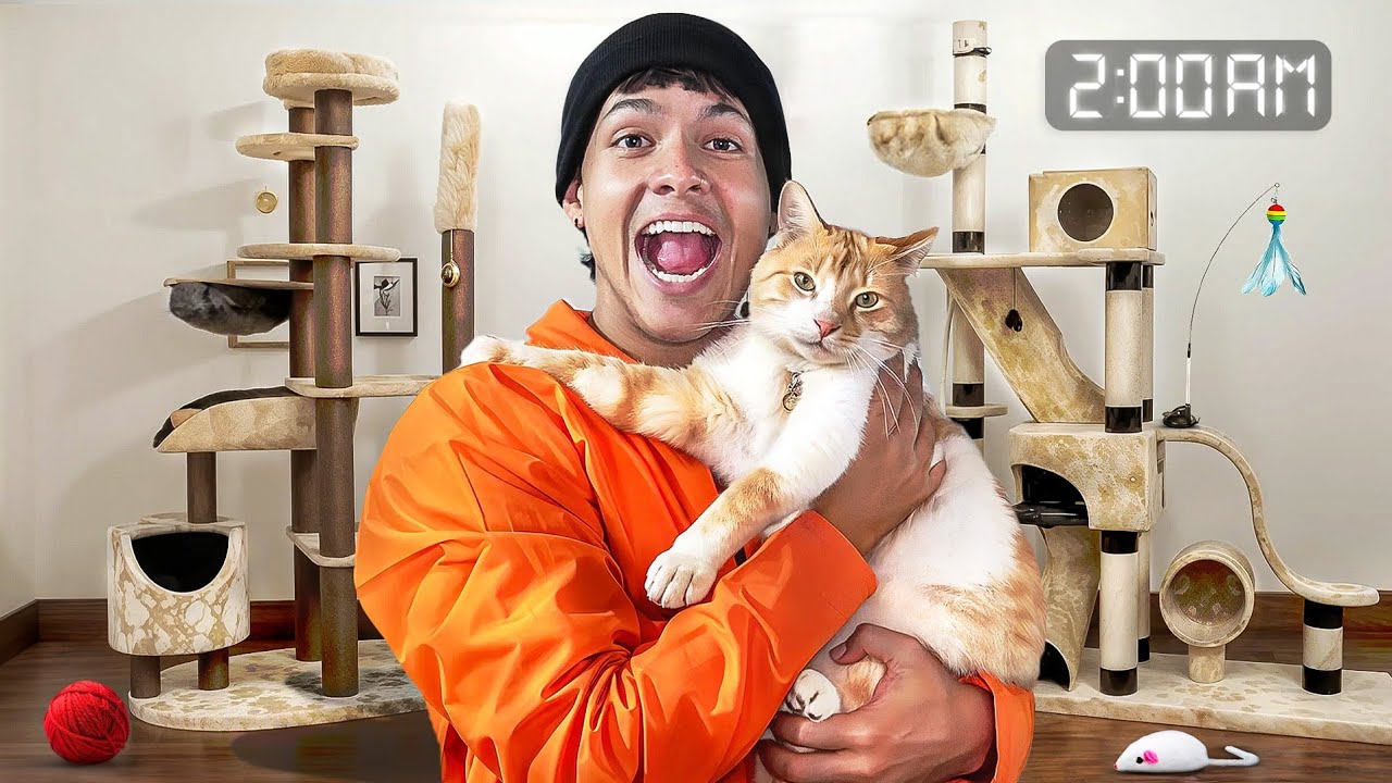CONSTRUIMOS un GIMNASIO PARA MI GATO! 😾