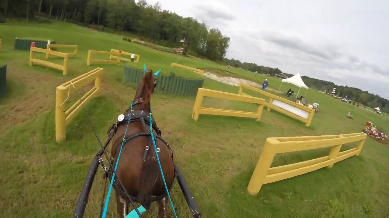 Huckleberry Express, Prelim Pony Marathon, Tryon CDE Sept 2020
