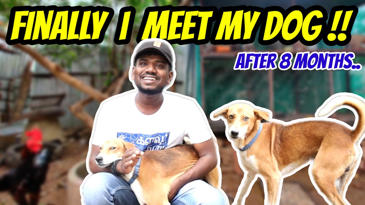 🐶 Finally I Meet My Dog After 8 Months | Chera is Back 💥💥 |
