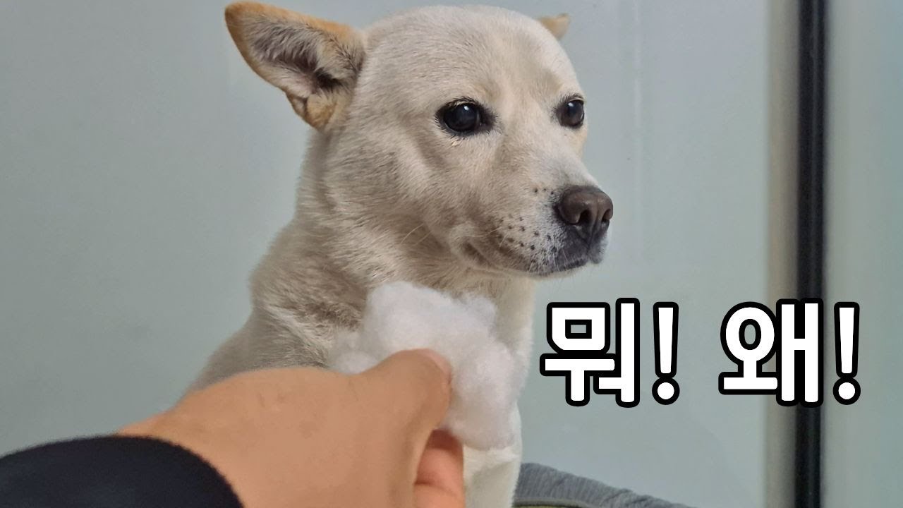 점점 대범해지는 그녀의 범죄행각