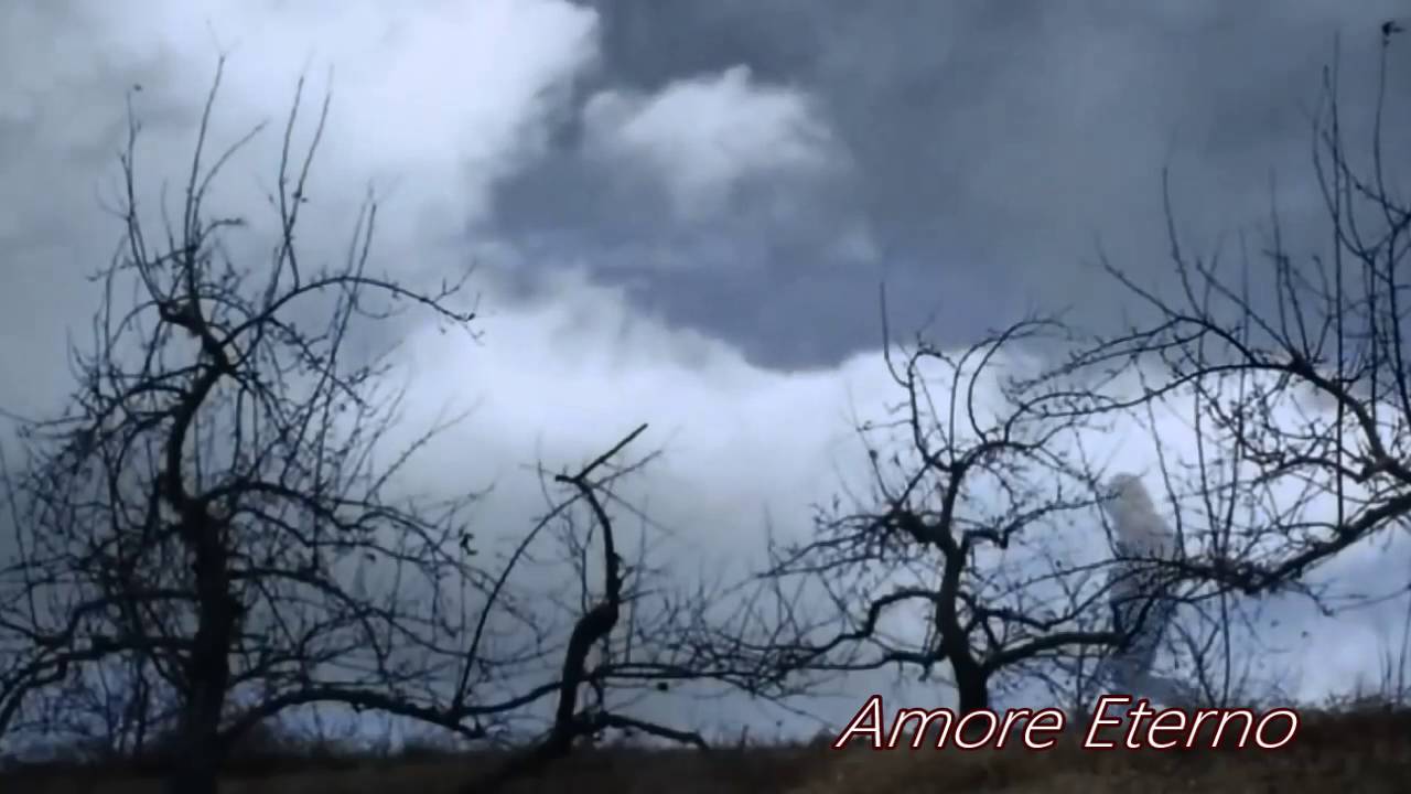 Alison Moyet - For You Only