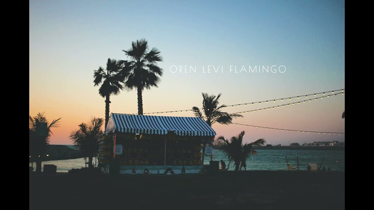Oren Levi-Flamingo (Original Mix)