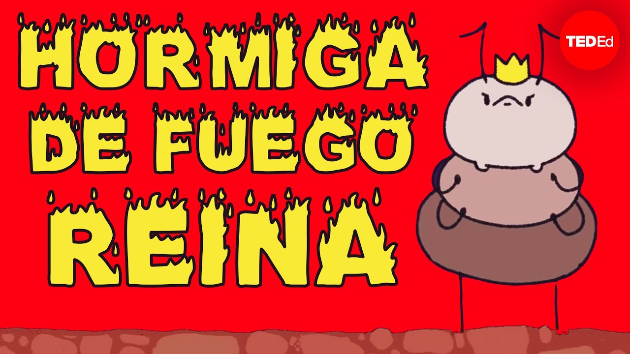 La vida de una reina de hormigas de fuego - Walter R. Tschinkel