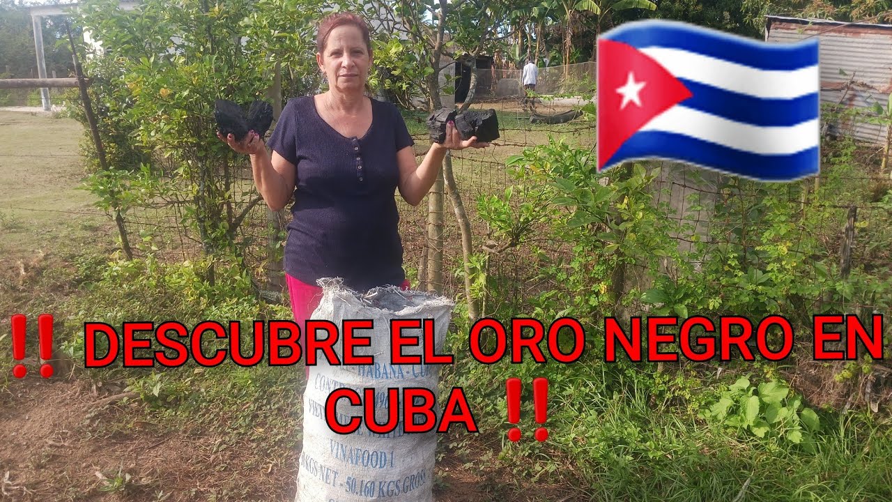 COMO SE LOGRA  EL ORO NEGRO PARA LA COCINA.. #cocina #oro #cubanos #delcampoatumesa  #virgo 