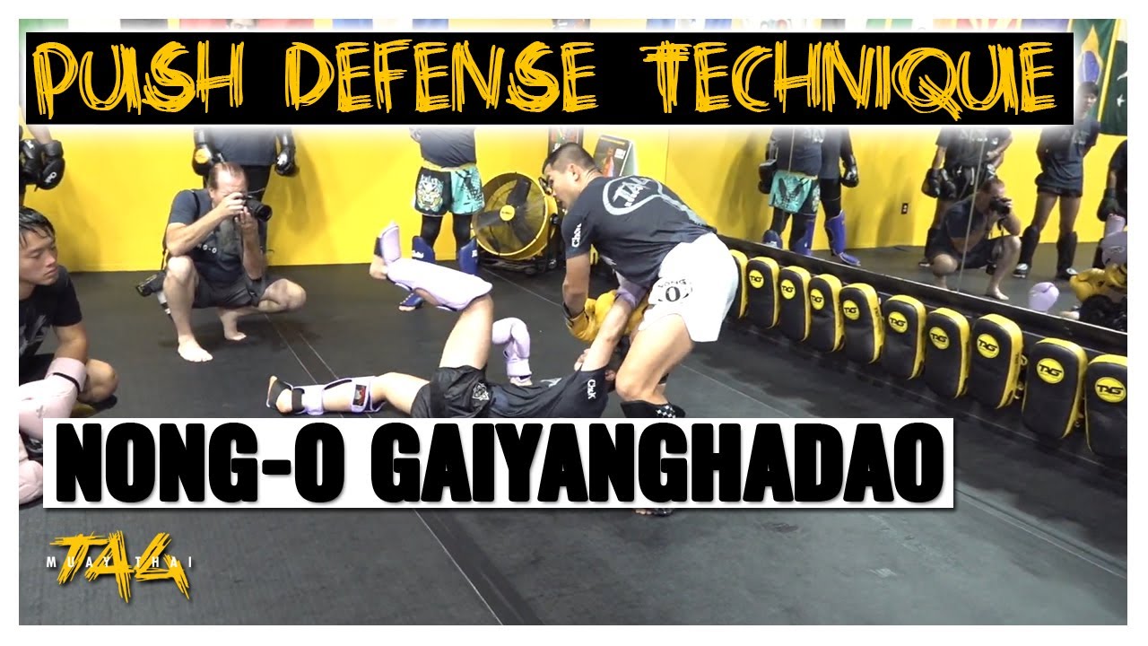 Push Defense Against Clinch or Knee to Sweep with Nong-O Gaiyanghadao