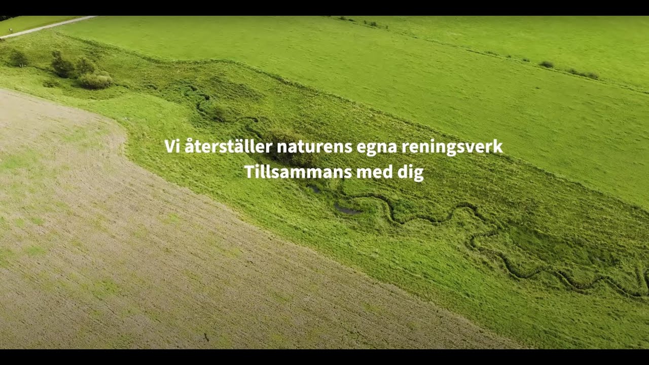 Hjälp kommunens våtmarker och vattendrag