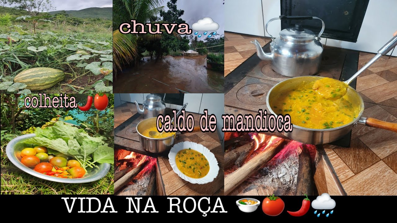 VIDA NA ROÇA: MUITA FARTURA/ COLHEITA /CHUVA E CALDINHO DE MANDIOCA /ROTINA DA NOITE +ALMOÇO/