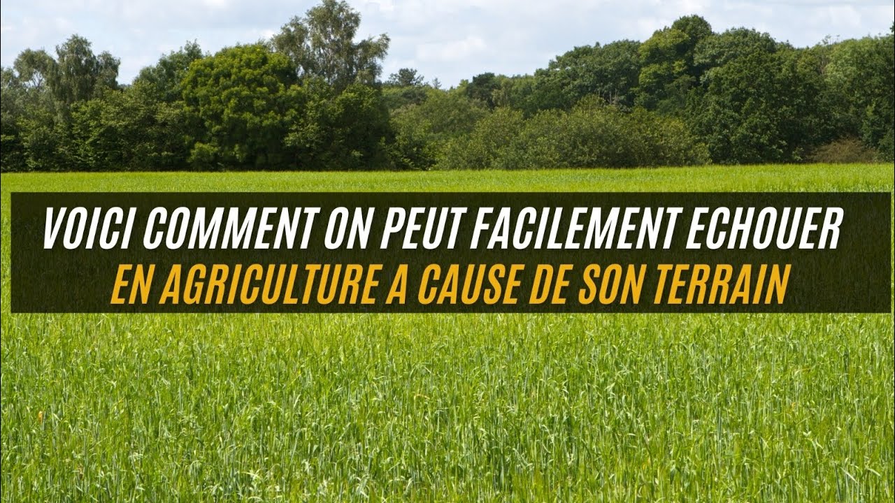 Voici pourquoi il faut bien choisir le lieu d'implantation de sa ferme.
