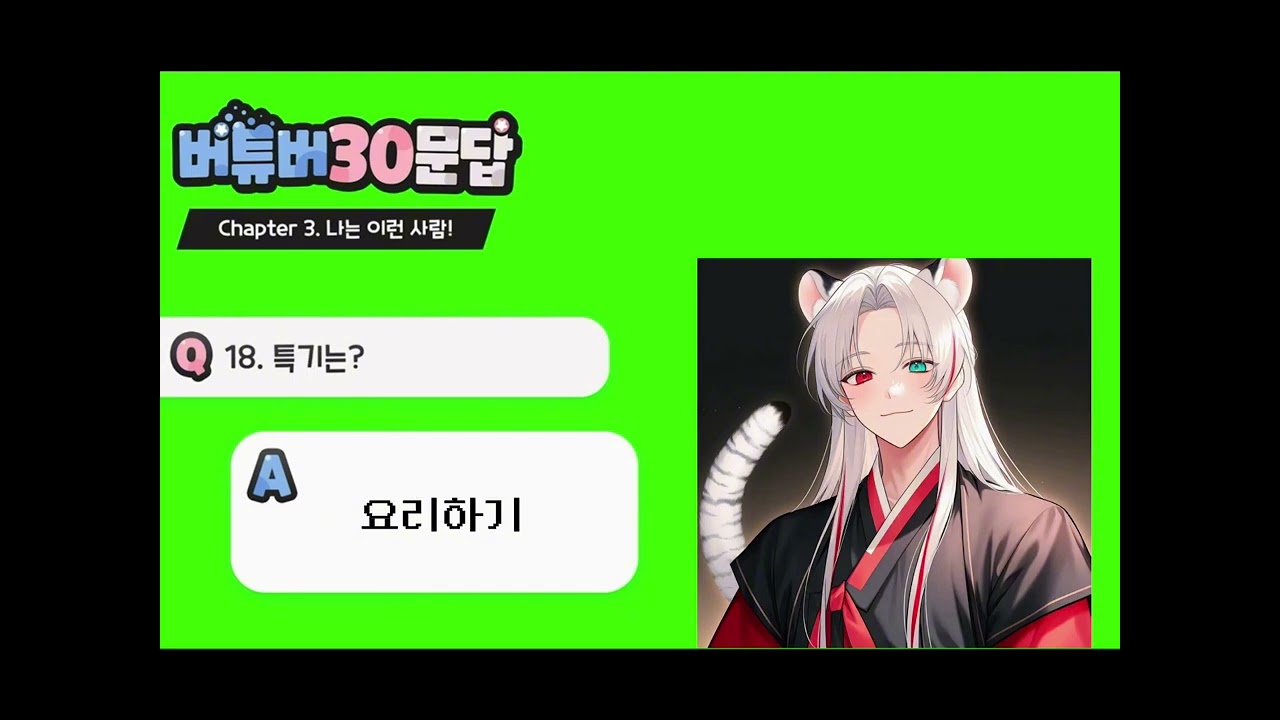 버튜버 30문답 호또버전