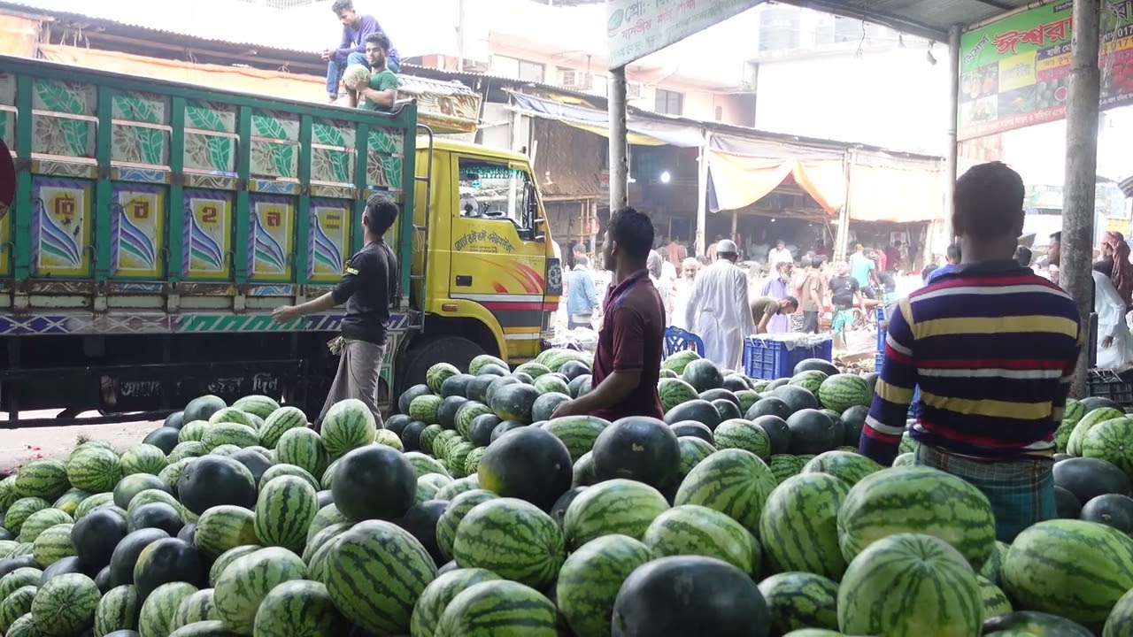 Watermelon Market Forecast: Growth and Opportunities